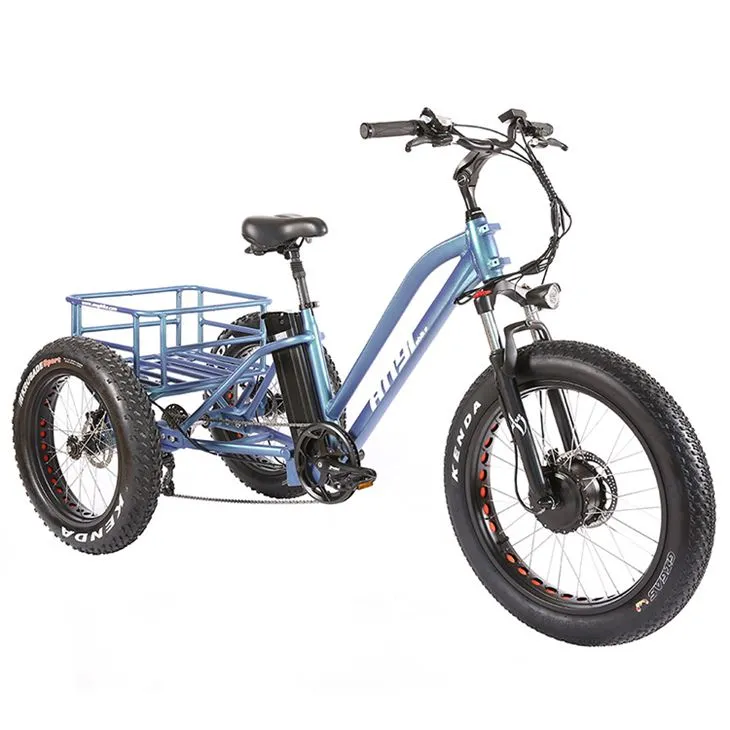 Electric Assist Cargo Bike