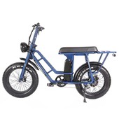 Electric Bike for Adult