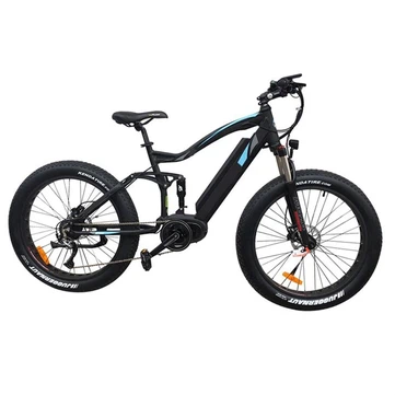 What Are The Disadvantages Of Mid Drive Electric Bike?